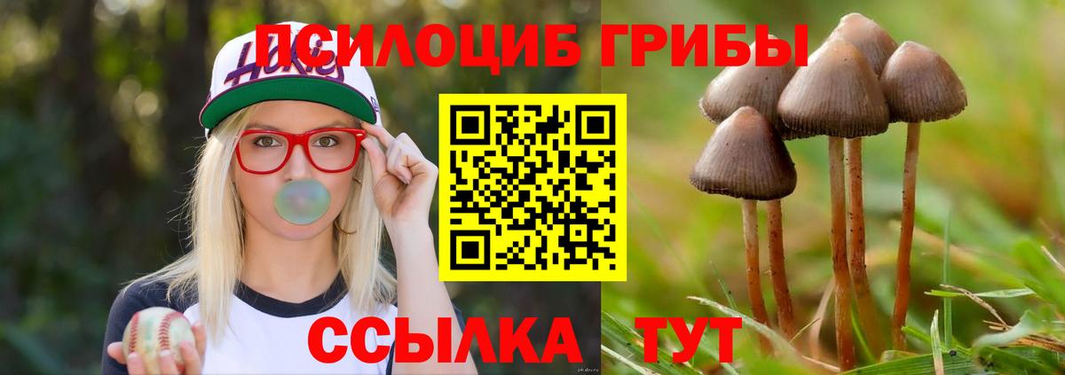 Галлюциногенные грибы Cubensis Корсаков