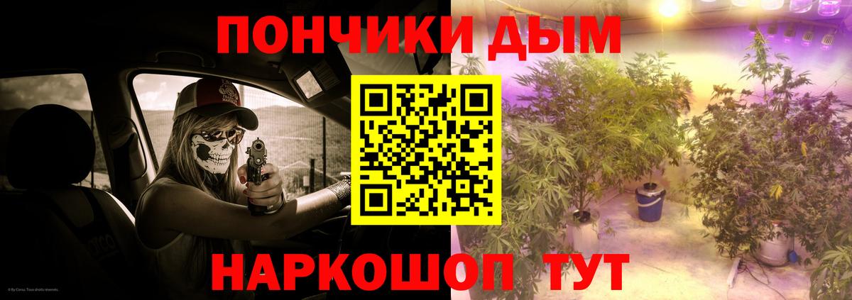 Шишки марихуана сатива Корсаков